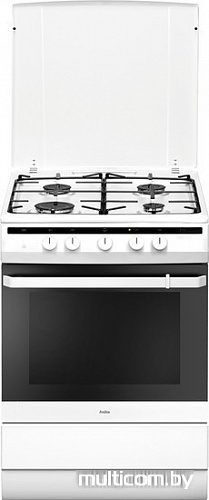 Кухонная плита Hansa FCGW62051