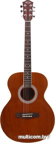 Акустическая гитара Aileen AF148