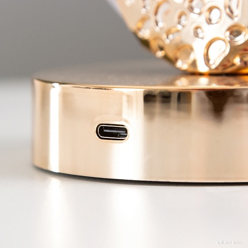 Торшер Risalux Лендис 10222074 (золото)