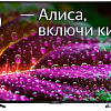 Телевизор IRBIS 50U1YDX185BS2