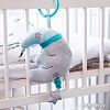 Развивающая игрушка BabyOno Happy Moon 610