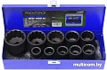 Набор торцевых головок RockForce RF-6109MPB (10 предметов)