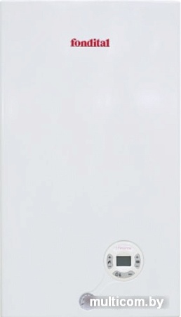 Отопительный котел Fondital Minorca CTFS 24