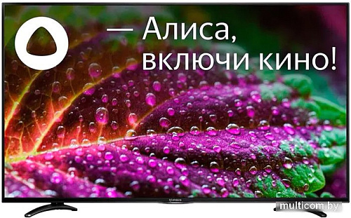 Телевизор IRBIS 50U1YDX185BS2