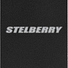 Микрофон Stelberry M-500