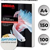 Пластиковая обложка для переплета ProMega Office А4 150 мкм 254629 (100 шт, прозрачный)