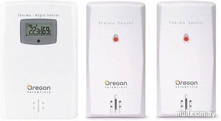 Метеостанция Oregon Scientific RAR502