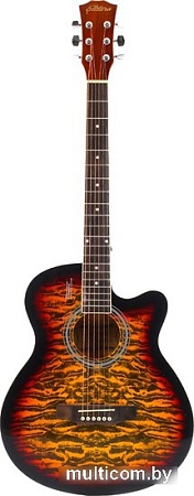 Акустическая гитара Elitaro E4030 SB