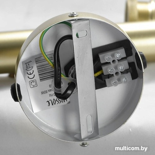 Спот Lussole LSP-8169