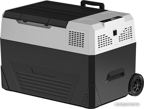 Компрессорный автохолодильник Filymore P48 48л (черный)