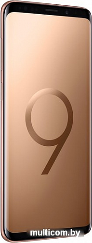 Смартфон Samsung Galaxy S9+ Dual SIM 64GB Exynos 9810 (золотистый)