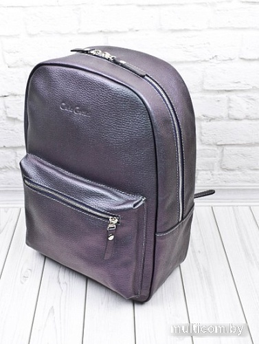 Городской рюкзак Carlo Gattini Premium Albiate 3103-57 (северное сияние)