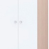 Шкаф распашной Polini Kids Simple двухсекционный с ящиком 0001302.161 (дуб пастельный/белый)