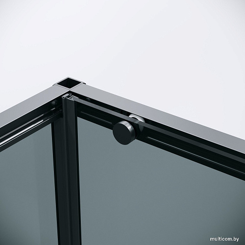 Душевой уголок Grossman Galaxy 100x90x195 120.K33.01.1090.21.10 (черный матовый/тонированное стекло)