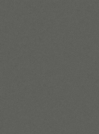 Виниловые обои Гомельобои Пантон к-23 17ВФТ1К