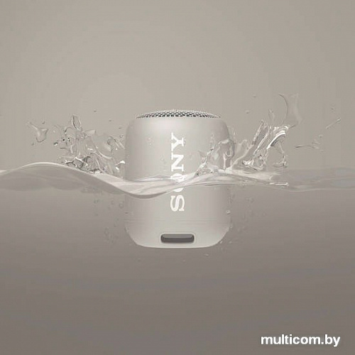 Беспроводная колонка Sony SRS-XB12 (серый)