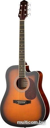 Акустическая гитара Naranda DG120CBS