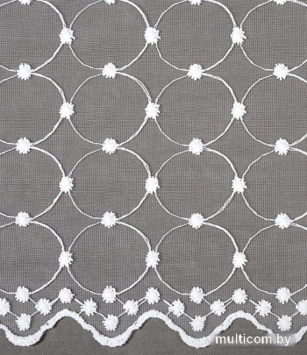 Тюль Legrand Ажур 3x2.8 м 58125101 (снежно-белый)