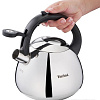 Чайник со свистком Tefal Duetto+ N4180110