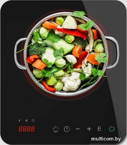 Настольная плита Cecotec Full Magma Single