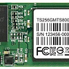 SSD Transcend MTS800 256GB (TS256GMTS800)