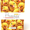 Подарочный набор Milota Box Duck Mini MBS008