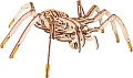Сборная модель Eco-Wood-Art Паук