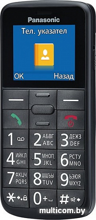 Мобильный телефон Panasonic KX-TU110RU (черный)