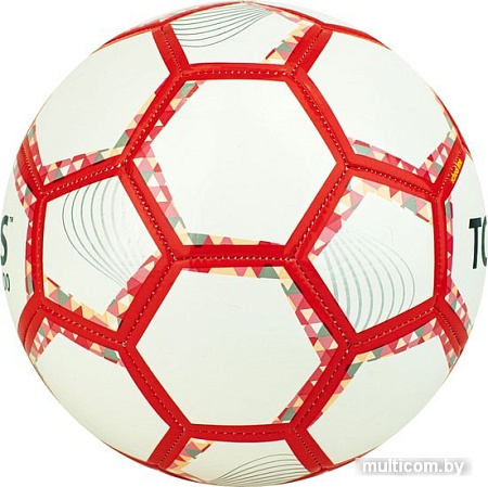 Мяч Torres BM300 F320743 (3 размер)