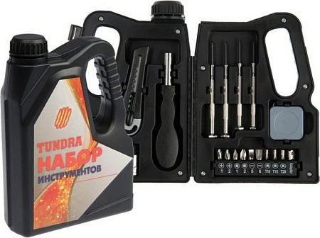Набор домашнего мастера Tundra 7379044 (21 предмет)