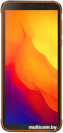 Смартфон Blackview BV6300 (оранжевый)