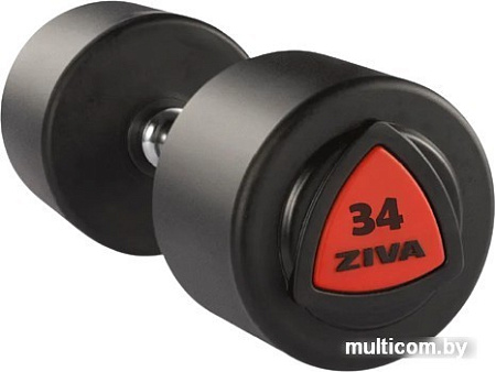 Гантель Ziva ZVO-DBPU-1023 34кг