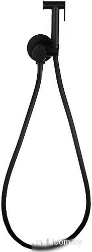 Гигиенический душ Roxen Santi 50094000-B