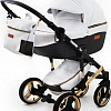 Универсальная коляска Ray Ray Ultra Gold (2 в 1, 31)