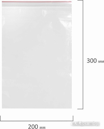 Пакеты фасовочные Staff Zip Lock 608168 (100 шт)