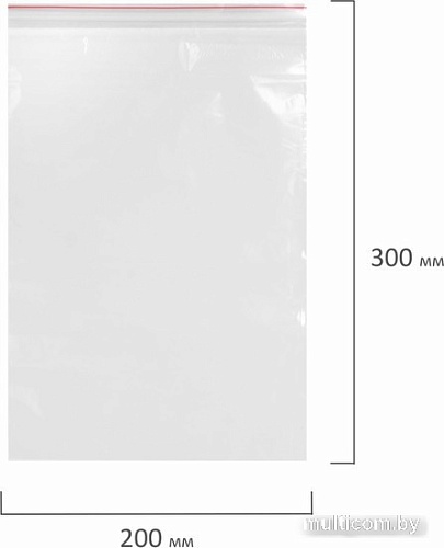 Пакеты фасовочные Staff Zip Lock 608168 (100 шт)