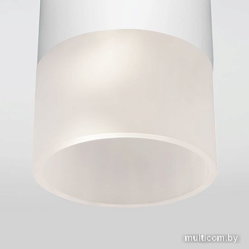 Уличный накладной светильник Elektrostandard Light 2106 35139/H (белый)