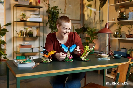 Конструктор LEGO Ideas 21343 Деревня Викингов