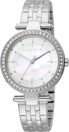 Наручные часы Esprit ES1L153M2035