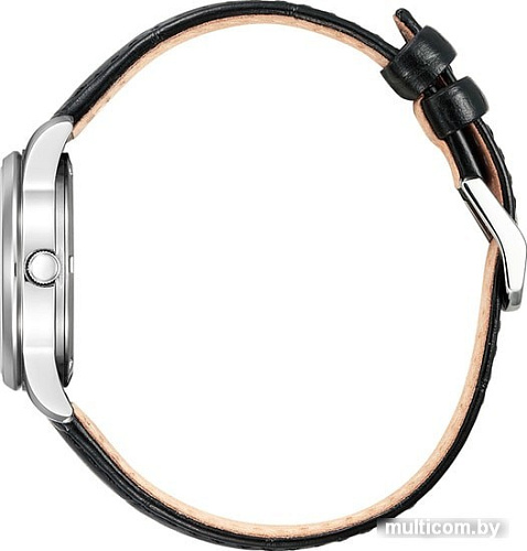 Наручные часы Citizen EW3260-17A