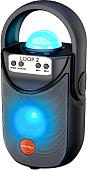 Беспроводная колонка SmartBuy Loop 2 SBS-5060