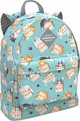 Рюкзак Erich Krause EasyLine Animals 17L Cat&Box