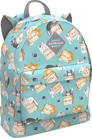 Рюкзак Erich Krause EasyLine Animals 17L Cat&Box