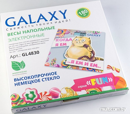 Напольные весы Galaxy GL4830