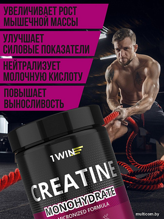 Моногидрат креатина 1WIN Моногидрат (200г, ягодный микс)