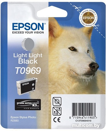 Картридж Epson C13T09694010