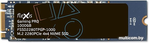 SSD Flexis Gaming Pro 1TB FSSD2280TPGP-1000