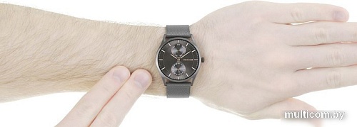 Наручные часы Skagen SKW6180