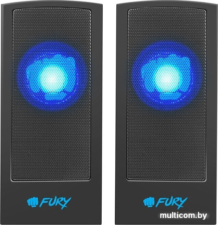 Акустика Fury Skyray