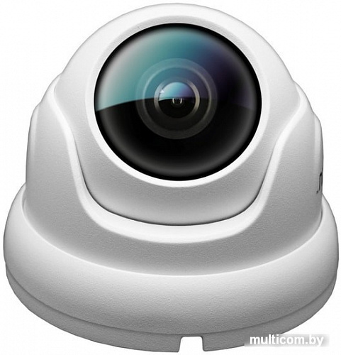 IP-камера Ginzzu HID-5302A